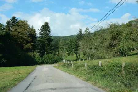 Genevieve 1, Charmante maison de vacances à Vagney près des pistes de ski - Photo 22