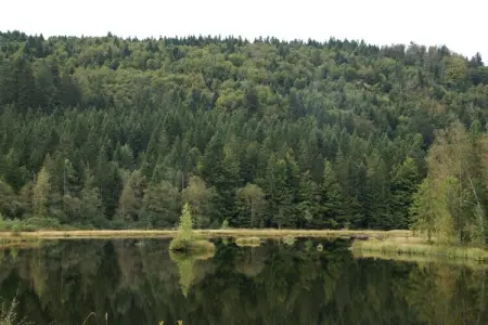 Genevieve 1, Charmante maison de vacances à Vagney près des pistes de ski - Photo 26