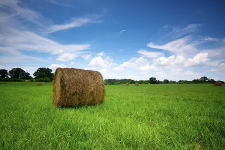 Genevieve 1, Charmante maison de vacances à Vagney près des pistes de ski - Photo 29
