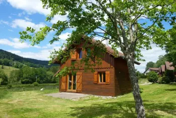 Lorraine, Chalet in Le Syndicat, Hameau de l'Etang 1 FR-88120-22 N°208246