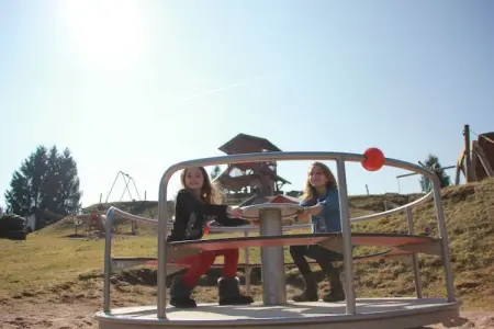 Les Chalets des Ayes 11, Chalet confortable, lave-vaisselle, dans les Hautes-Vosges - Photo 4