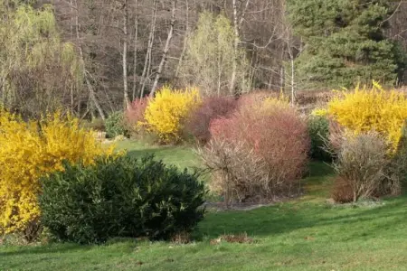 Maison de vacances - LA CHAPELLE-AUX-BOIS, Belle maison de vacances près de Chapelle-Aux-Bois, jardin - Photo 26
