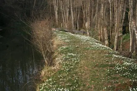 Maison de vacances - LA CHAPELLE-AUX-BOIS, Belle maison de vacances près de Chapelle-Aux-Bois, jardin - Photo 33