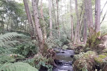 Maison de vacances - LA CHAPELLE-AUX-BOIS, Belle maison de vacances près de Chapelle-Aux-Bois, jardin - Photo 35