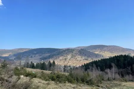 La Bergerie, Magnifique chalet de montagne à Saulxures-sur-Moselotte - Photo 28