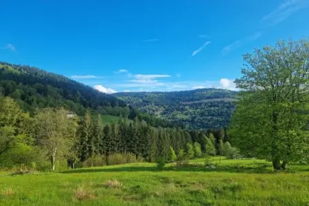 La Bergerie, Magnifique chalet de montagne à Saulxures-sur-Moselotte - Photo 37