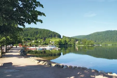 A l'Orée des Bois, Charmant Chalet à Ventron avec terrasse - Photo 28