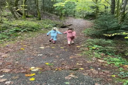A l'Orée des Bois, Charmant Chalet à Ventron avec terrasse - Photo 32