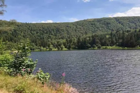 A l'Orée des Bois, Charmant Chalet à Ventron avec terrasse - Photo 33
