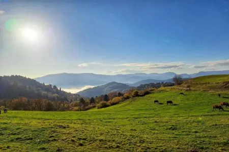 A l'Orée des Bois, Charmant Chalet à Ventron avec terrasse - Photo 36