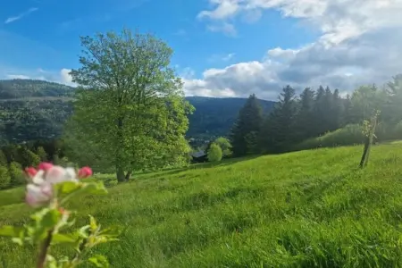 A l'Orée des Bois, Charmant Chalet à Ventron avec terrasse - Photo 38