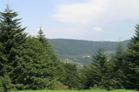 Ronds Chetys, Chalet cosy à Ventron près des pistes, vue sur les collines - Photo 22