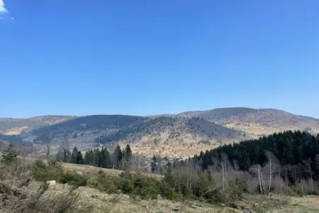 Ronds Chetys, Chalet cosy à Ventron près des pistes, vue sur les collines - Photo 30