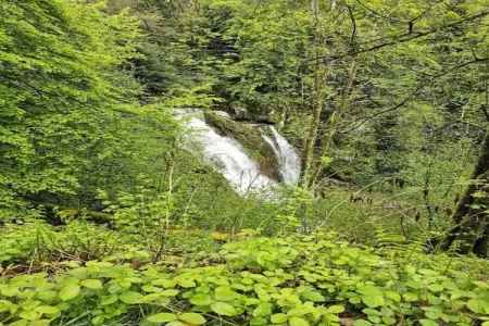 Ronds Chetys, Chalet cosy à Ventron près des pistes, vue sur les collines - Photo 31