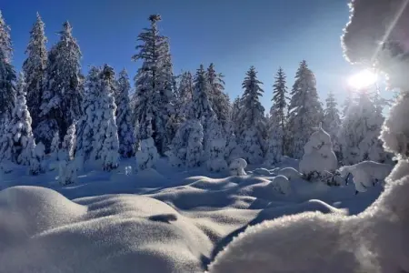 Ronds Chetys, Chalet cosy à Ventron près des pistes, vue sur les collines - Photo 40