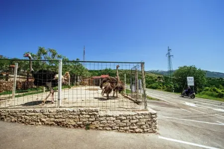 Casa Gracia, Une belle maison en pierre avec vue sur la montagne à Zaton - Photo 30