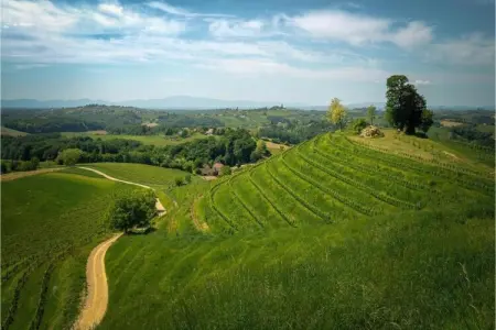 Villa Katarina, Villa vintage à Ripenda Kras Istrie, Croatie - Photo 30