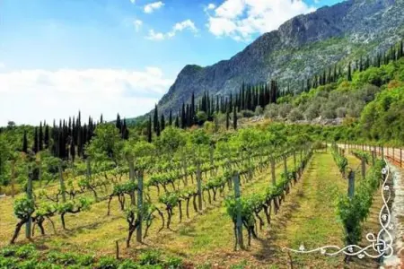 Draga, Villa de luxe à Gruda avec piscine - Photo 39