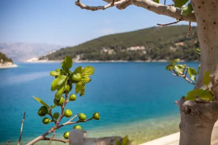 House Tea, Belle maison de vacances bord de plage en Dalmatie - Photo 22