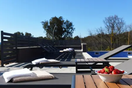 Villa ART Viskovici, Villa exquise à Viškovici avec sauna - Photo 26