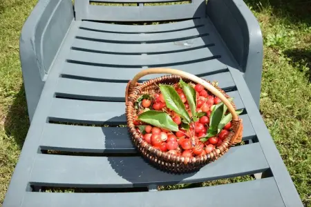 Apartment Angela 2, Charmante maison de vacances avec piscine à Zbandaj - Photo 24