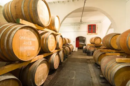 Casa La Ruota, Charmante ferme avec piscine à Bacchereto - Photo 29
