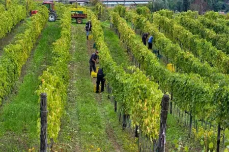 Casa La Ruota, Charmante ferme avec piscine à Bacchereto - Photo 34