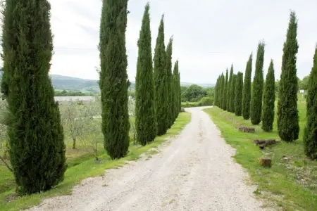 Casa Tiglio, Maison de vacances époustouflante en Toscane avec piscine - Photo 39