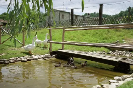 Casa Visietto, Manoir moderne avec piscine à Pian di San Martino - Photo 23