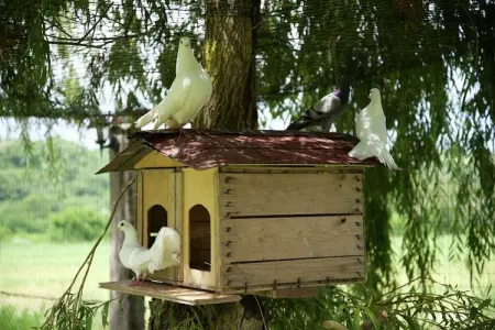 Casa Visietto, Manoir moderne avec piscine à Pian di San Martino - Photo 24
