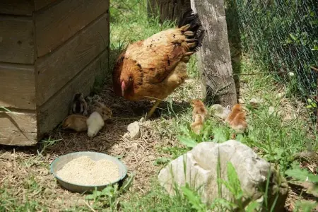 Casa Visietto, Manoir moderne avec piscine à Pian di San Martino - Photo 25