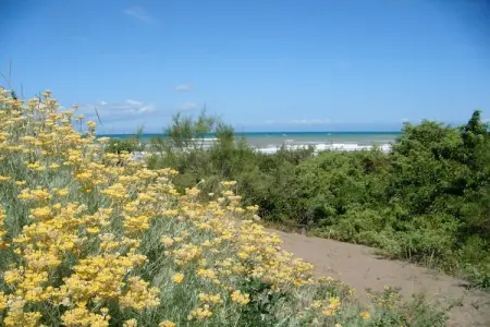 Pineta Azalea, Spacieuse maison de vacances près de la mer - Photo 31