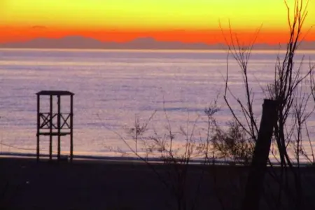 Pineta Azalea, Spacieuse maison de vacances près de la mer - Photo 35