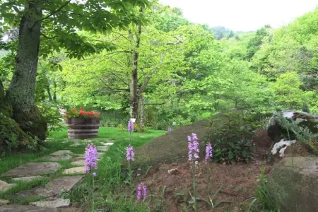 Quercia Dalia, Exquise maison de vacances au milieu des collines toscanes - Photo 31