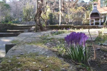 Quercia Dalia, Exquise maison de vacances au milieu des collines toscanes - Photo 39