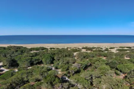 Sassetta Castagno, Spacieuse maison de vacances à Val Canina avec piscine - Photo 29