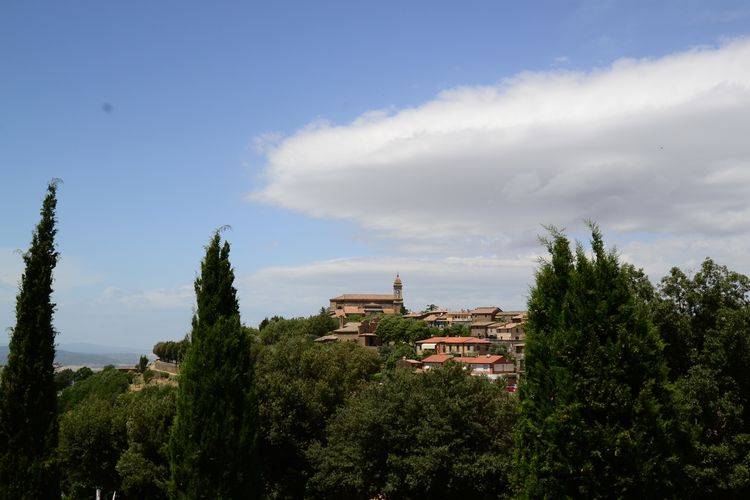 Sparsa Girasole, Location Maison à Cortona - Photo 11 / 25