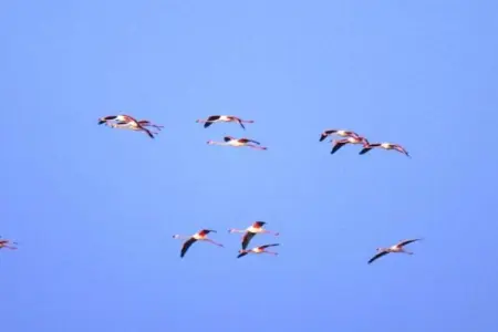 Michelangelo Hotel & Family Resort - Alba, Appartement familial dans une station balnéaire confortable - Photo 37