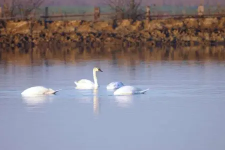 Michelangelo Hotel & Family Resort - Alba, Appartement familial dans une station balnéaire confortable - Photo 39