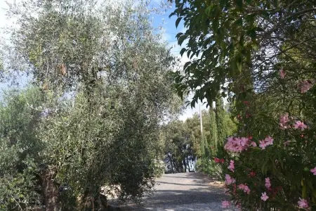 Lidia, Maison de vacances calme à Castagneto Carducci avec jardin - Photo 25