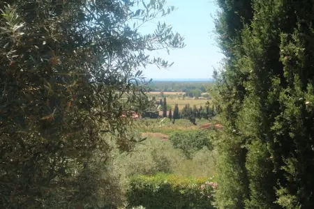 Lidia, Maison de vacances calme à Castagneto Carducci avec jardin - Photo 27