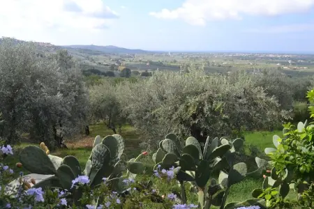 Lidia, Maison de vacances calme à Castagneto Carducci avec jardin - Photo 28