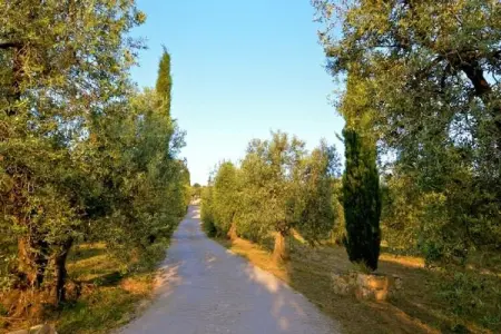 Lidia, Maison de vacances calme à Castagneto Carducci avec jardin - Photo 33