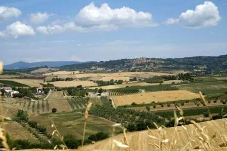 Lidia, Maison de vacances calme à Castagneto Carducci avec jardin - Photo 36