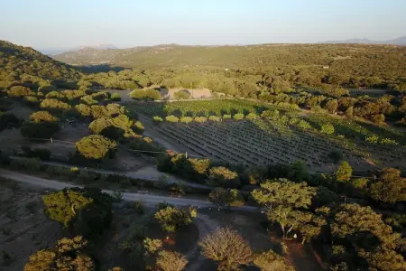Casa Smeralda, Maison de vacances luxueuse avec piscine à Olbia en Italie - Photo 28