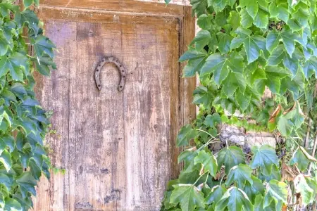 Allium, Ferme moderne à Marsciano avec piscine - Photo 34