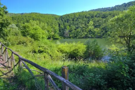 Liscino, Demeure avec piscine dans à Niccone Lisciano - Photo 35