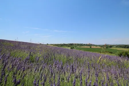 Sughera, Ferme moderne à Montalto di Castro avec piscine - Photo 25