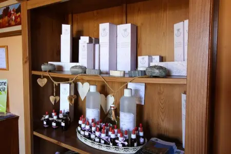 Sughera, Ferme moderne à Montalto di Castro avec piscine - Photo 30