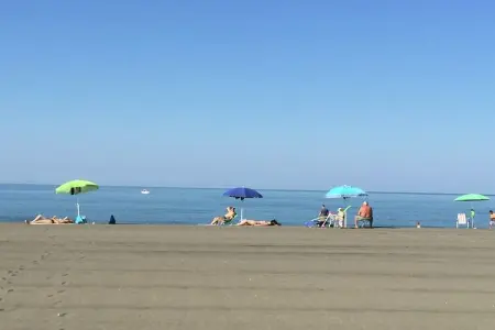 Sughera, Ferme moderne à Montalto di Castro avec piscine - Photo 34